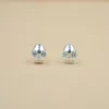 silver earrings (1)
