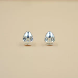 silver earrings (1)