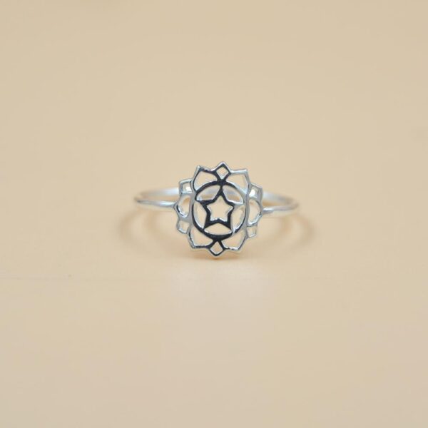 silver ring (1)