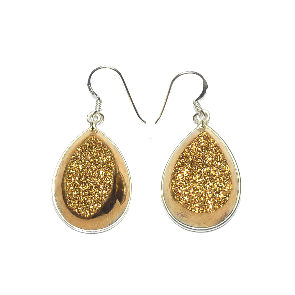 Gold Titanium Earrings