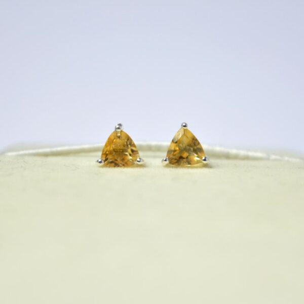 Citrine Studs Earrings