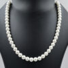 Shell Pearl Round 8-10mm Necklace 925 Sterling Silver